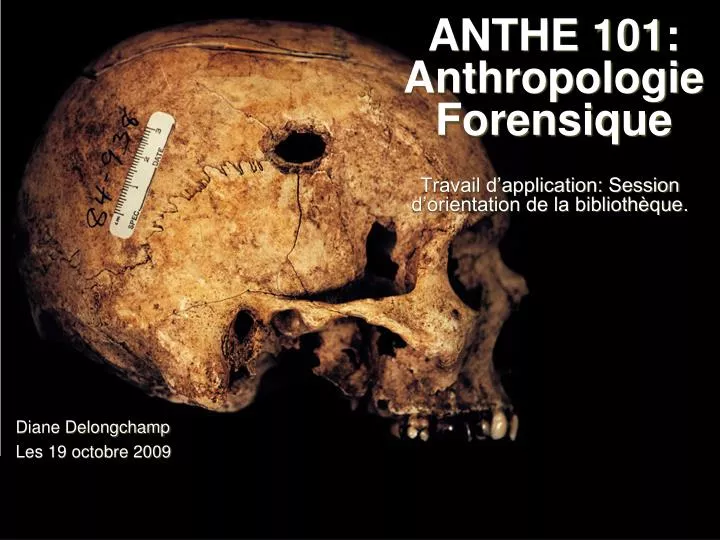anthe 101 anthropologie forensique