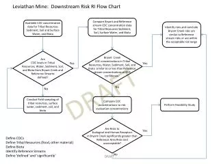 Leviathan Mine: Downstream Risk RI Flow Chart