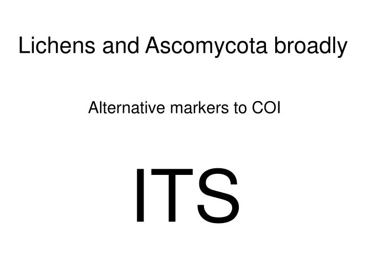 lichens and ascomycota broadly