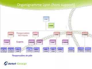 Organigramme Lyon (hors support)