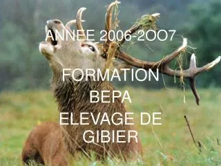 annee 2006 2oo7