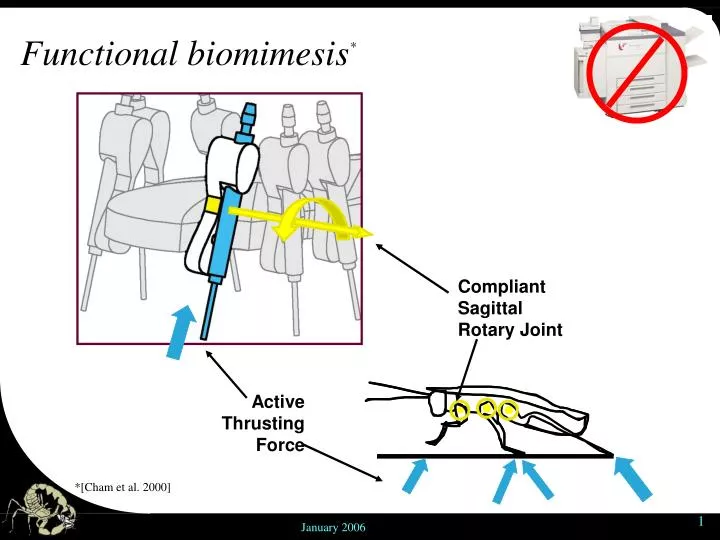 functional biomimesis