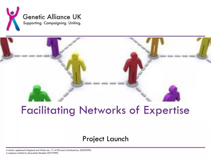 facilitating networks of expertise