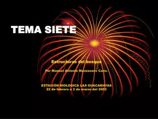 tema siete