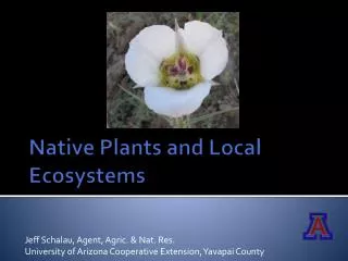 Native Plants and Local Ecosystems