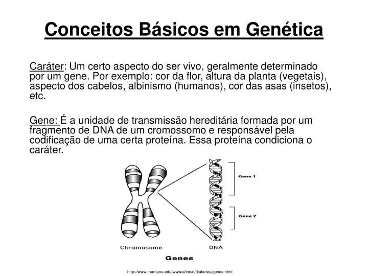 conceitos b sicos em gen tica