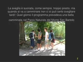 Partendo dalla Baia Flaminia abbiamo raggiunto la cima del monte S. Bartolo, lì abbiamo sostato per riposare e rifocilla