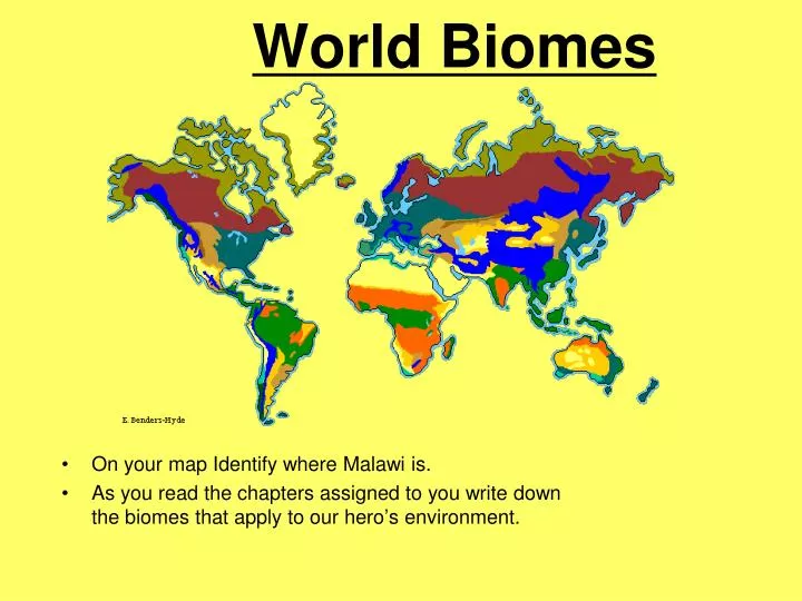 world biomes