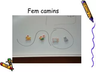 fem camins