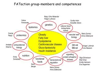 Obesity Fatty liver Dyslipidemia Cardiovascular disease Gluco-lipotoxicity Insulin resistance
