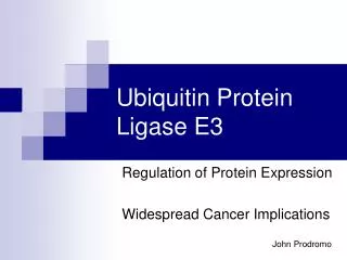Ubiquitin Protein Ligase E3