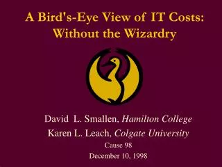 A Bird's-Eye View of IT Costs: Without the Wizardry