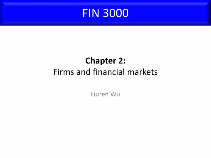 chapter 2 firms and financial markets