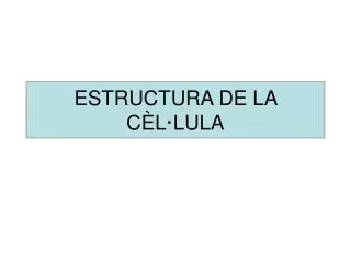 estructura de la c l lula