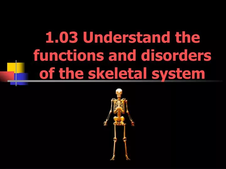1 03 understand the functions and disorders of the skeletal system