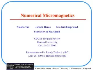 Numerical Micromagnetics