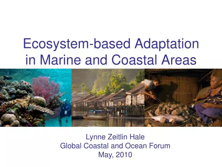 ecosystem based adaptation in marine and coastal areas