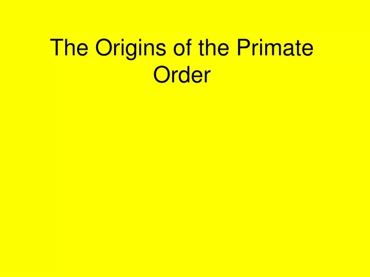 the origins of the primate order