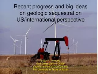 Recent progress and big ideas on geologic sequestration US/international perspective