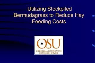 Utilizing Stockpiled Bermudagrass to Reduce Hay Feeding Costs