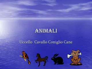 animali