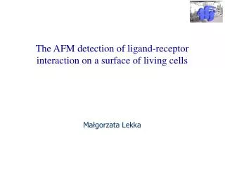 The AFM detection of ligand-receptor interaction on a surface of living cells Małgorzata Lekka