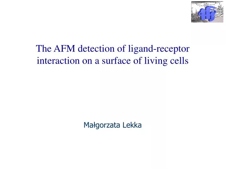 the afm detection of ligand receptor interaction on a surface of living cells ma gorzata lekka