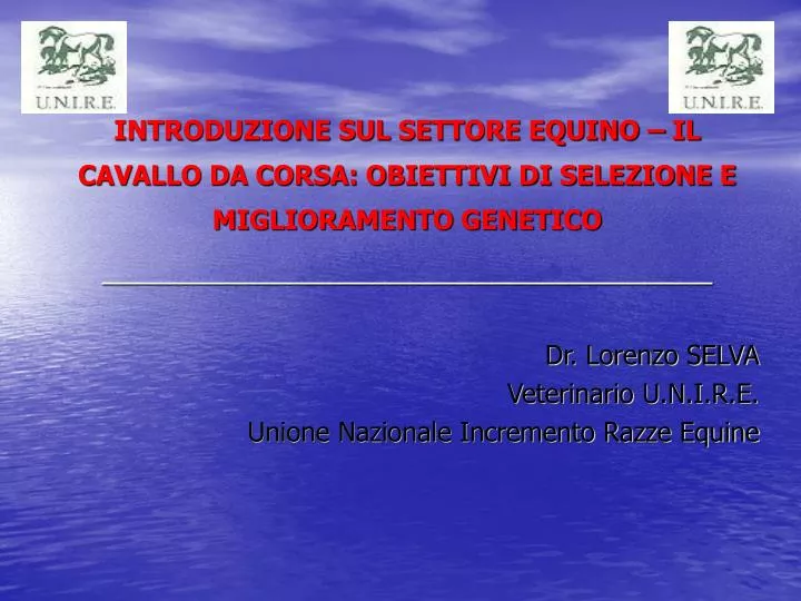 introduzione sul settore equino il cavallo da corsa obiettivi di selezione e miglioramento genetico