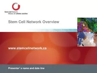 Stem Cell Network Overview