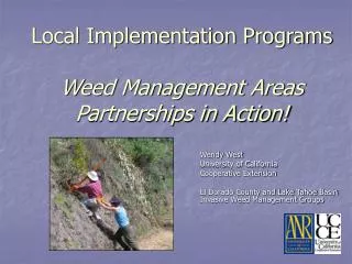 Local Implementation Programs Weed Management Areas Partnerships in Action!