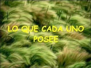 lo que cada uno posee