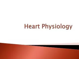 Heart Physiology