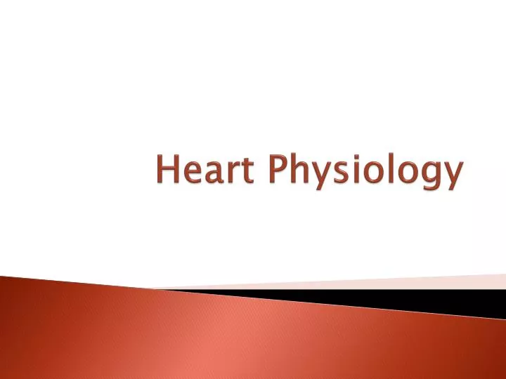 heart physiology