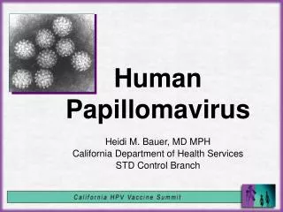 Human Papillomavirus