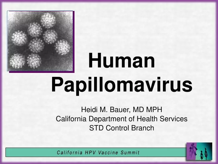 human papillomavirus