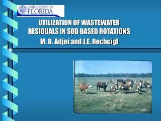 UTILIZATION OF WASTEWATER RESIDUALS IN SOD BASED ROTATIONS M. B. Adjei and J.E. Rechcigl