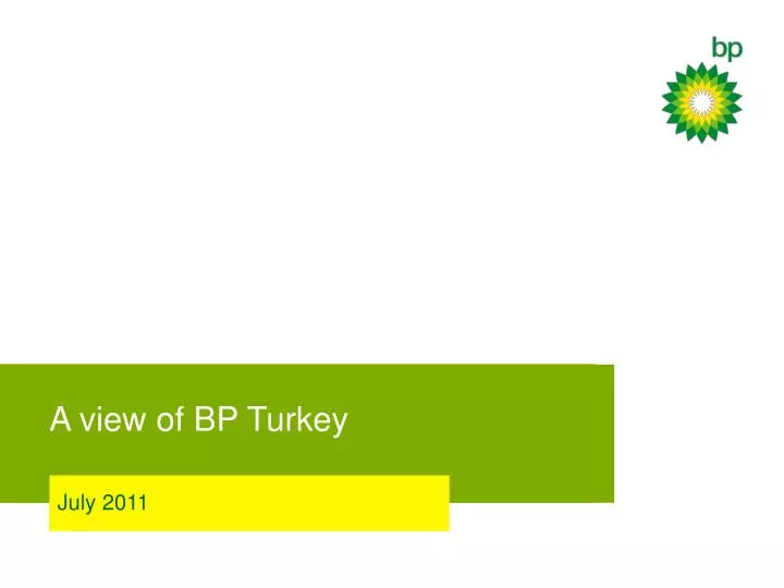 a view of bp turkey