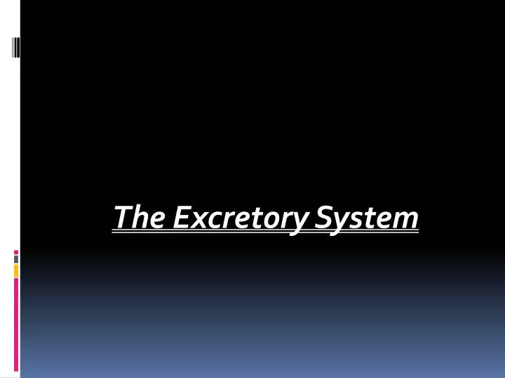 the excretory system