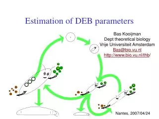 Estimation of DEB parameters