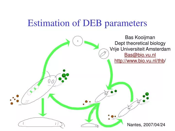 estimation of deb parameters