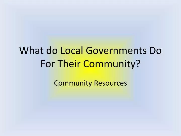 what do local governments do for their community