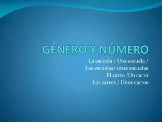 g nero y n mero
