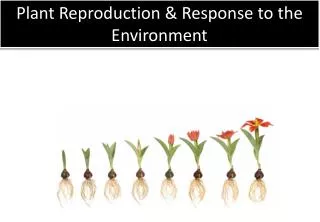 Plant Reproduction &amp; Response to the Environment