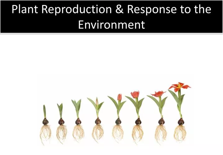 plant reproduction response to the environment