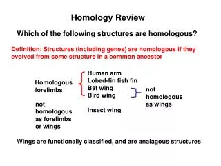 Homology Review