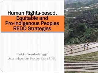 Human Rights-based, Equitable and Pro-Indigenous Peoples REDD Strategies