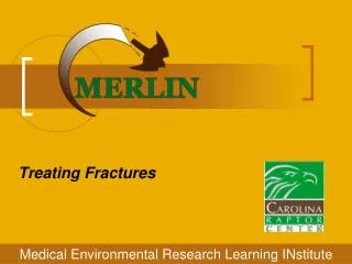 Treating Fractures