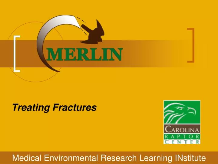 treating fractures