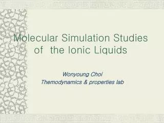 Molecular Simulation Studies of the Ionic Liquids