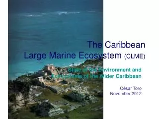 The Caribbean Large Marine Ecosystem (CLME)